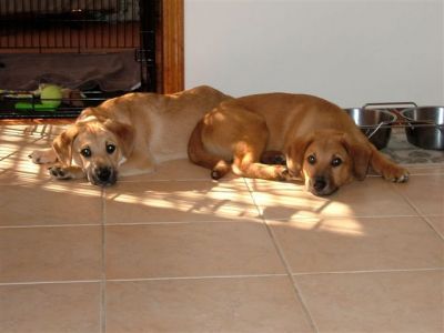 http://www.castle-of-dreams.com/endings/albums/2006/normal_Tyson-Angel_.jpg